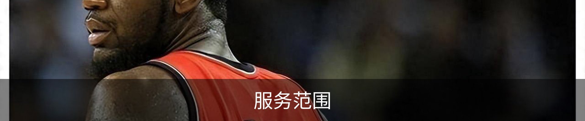 服务范围